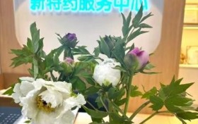 两百里牡丹见证服务温度：漱玉平民大药房陈英以专业与人文守护患者健康